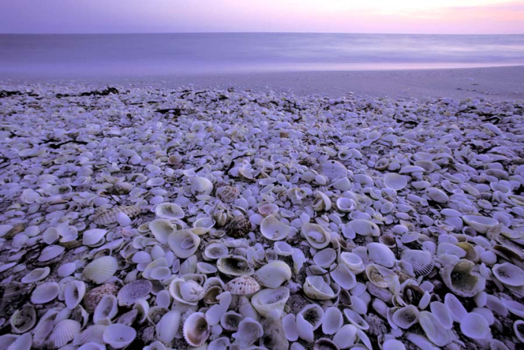 10 best shelling beaches in America